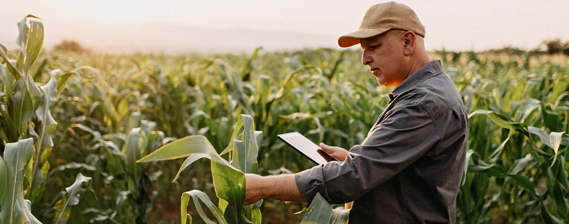 Farm/Agriculture Insurance